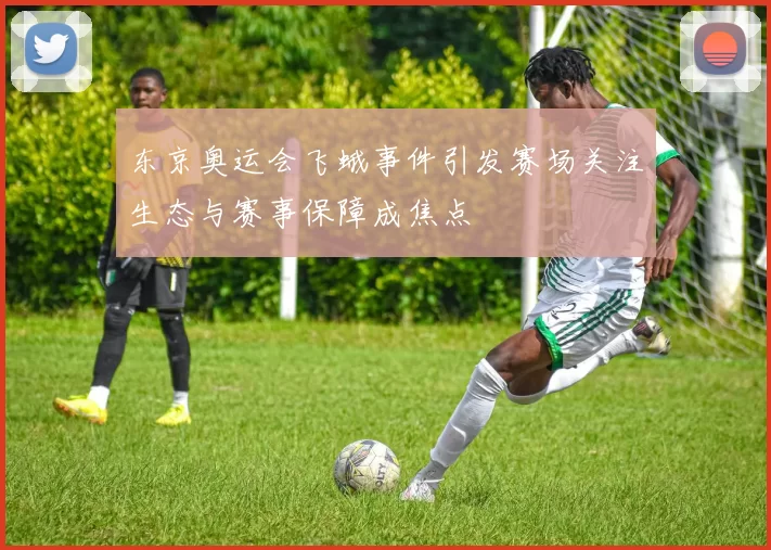 东京奥运会飞蛾事件引发赛场关注生态与赛事保障成焦点