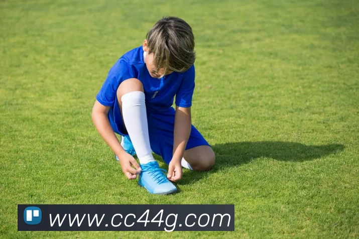 Bsports官方网站登录入口品牌故事