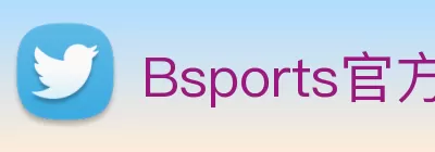 Bsports官方网站登录入口 Logo